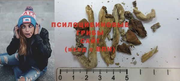 стаф Вязники