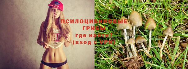 каннабис Вязьма