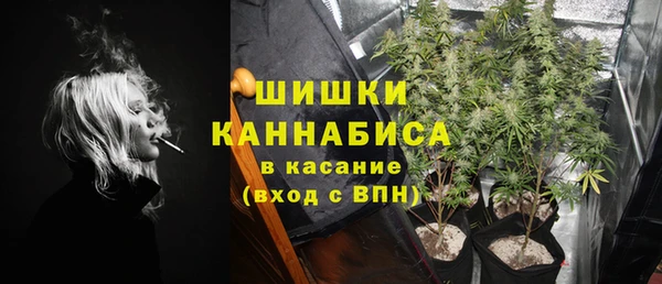 стаф Вязники