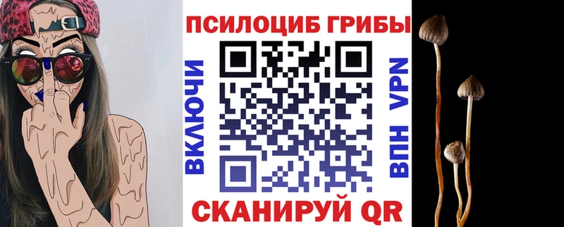 Купить закладки Богородицк Псилоцибиновые грибы GOLDEN TEACHER